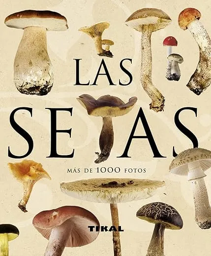 Atlas ilustrado de las setas