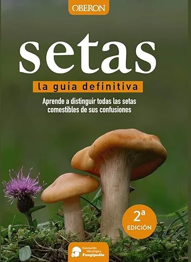 Setas, la guía definitiva