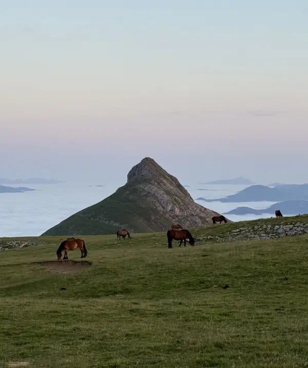 Travesía por la Sierra de Aralar