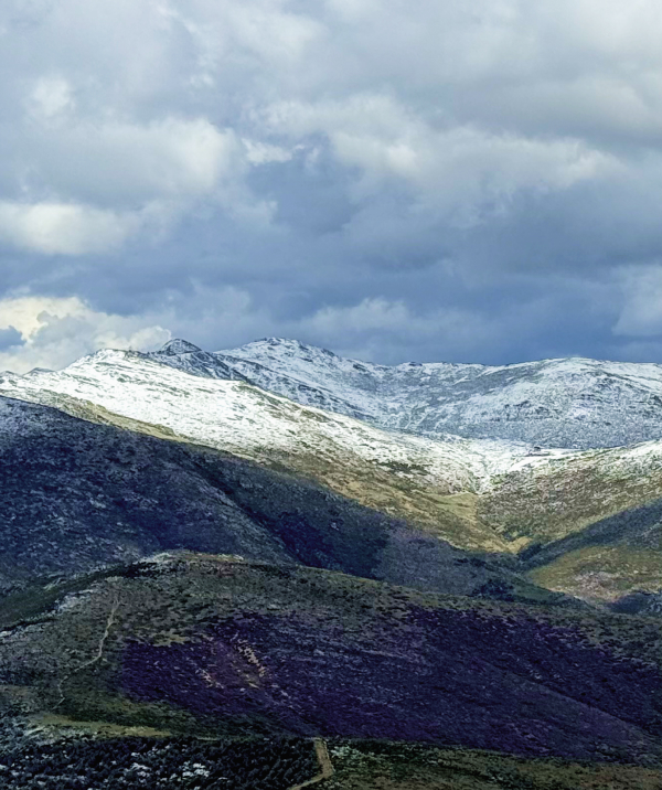 Sierra de Ayllón