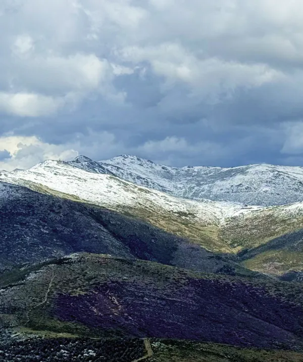 Sierra de Ayllón