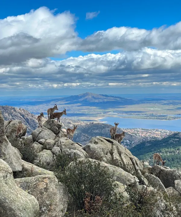 Sierra de Guadarrama