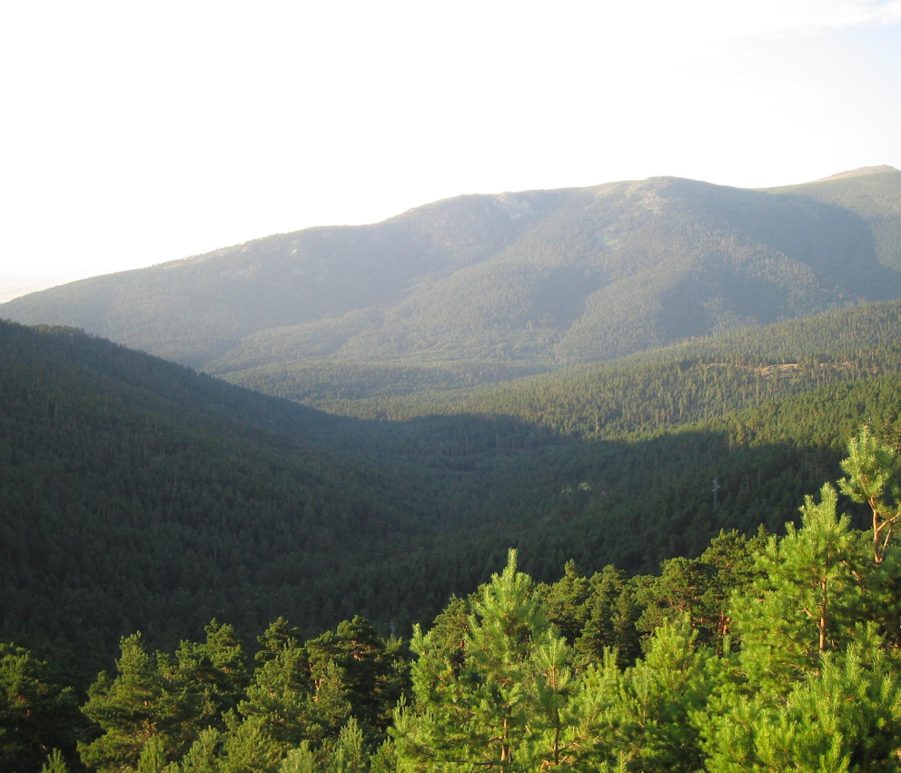 Los entresijos del Valle de la Fuenfría